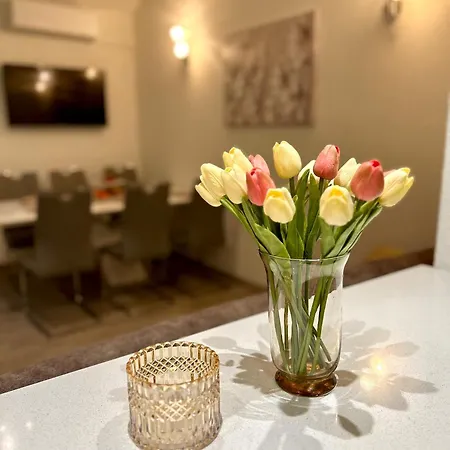 Apartment Zorka